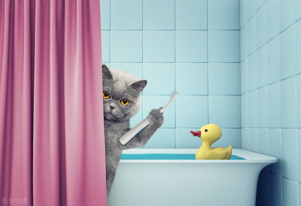 貓為什麼怕水不敢洗澡 大部分貓為什麼怕水的原因