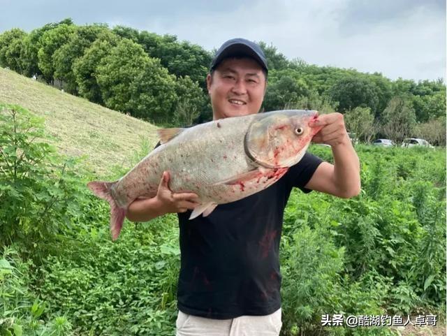 釣草魚用多粗的主線和子線 野釣草魚鯉魚用什麼線組合適