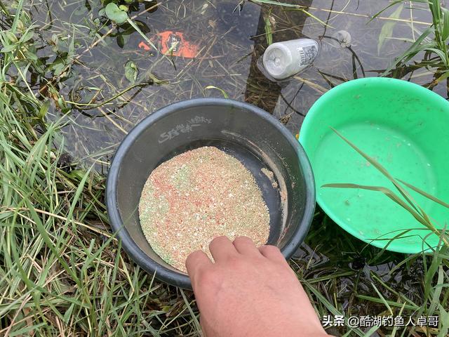 立秋後釣魚是釣香還是腥 秋天釣魚用什麼味型餌料