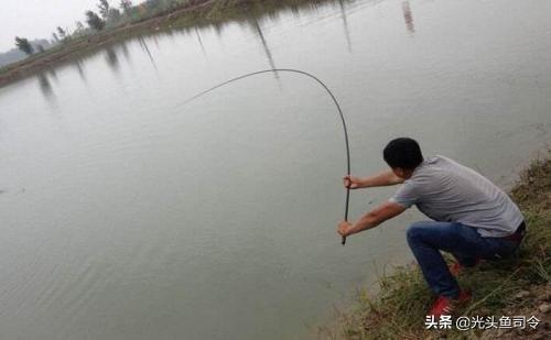 野釣鯽魚用多長的桿子合適 臺釣鯽魚用多長的魚竿好