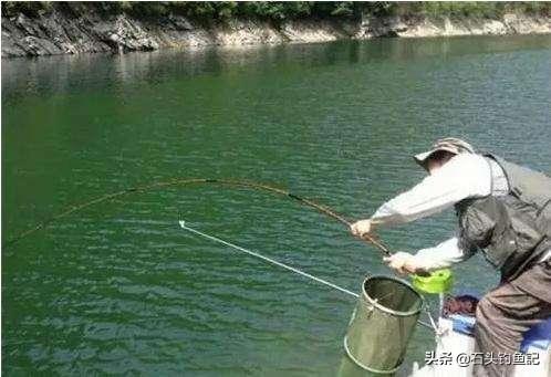 單鉤和雙鉤哪個釣魚好 傳統野釣鯽魚用單鉤還是雙鉤