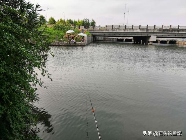 大幅度降溫怎麼釣魚 天氣降溫野釣大板鯽有什麼技巧