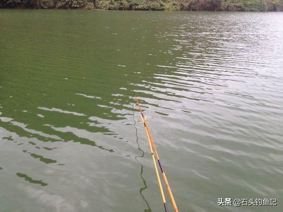 拉餌釣鯽魚用多大吃鉛漂最好 野釣鯽魚漂多大吃鉛合適