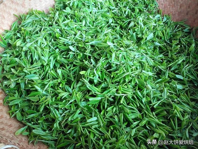 紅茶和綠茶的區別 弄懂3個不同避免買錯