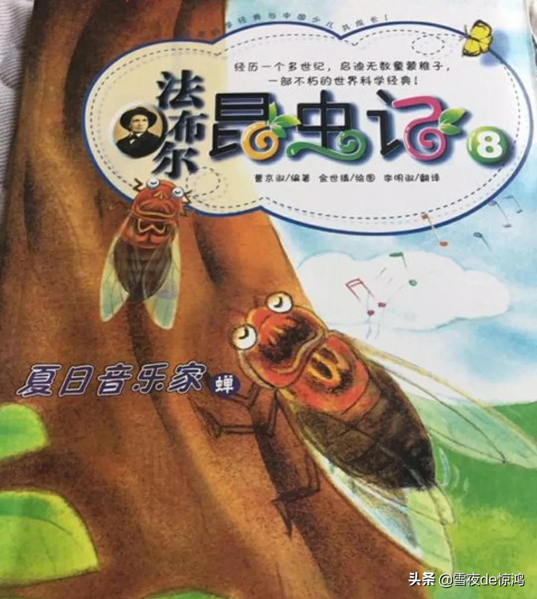 蜘蛛屬於哪類動物 蜘蛛屬於什麼綱什麼目的動物