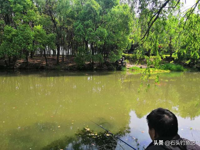 深秋野釣魚釣深水還是淺水 秋天釣點選上風口還是下風口