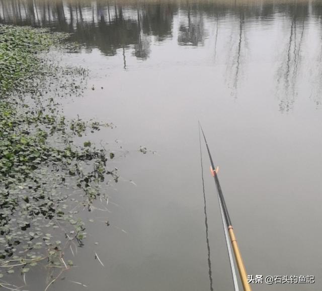 冬天氣溫太低怎麼釣魚 溫度低釣魚深水還是淺水