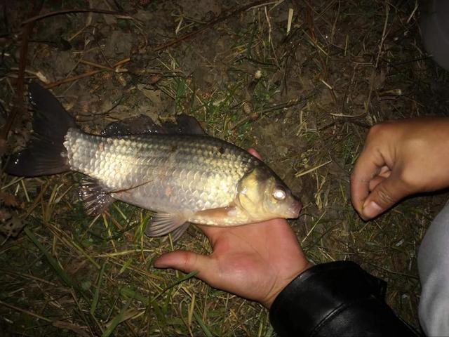 魚鉤的漂浮該怎麼放置 根據魚咬上鉤的調漂方法