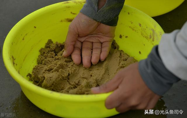 秋冬釣鯽魚用什麼餌料 氣溫低野釣鯽魚用蚯蚓好嗎