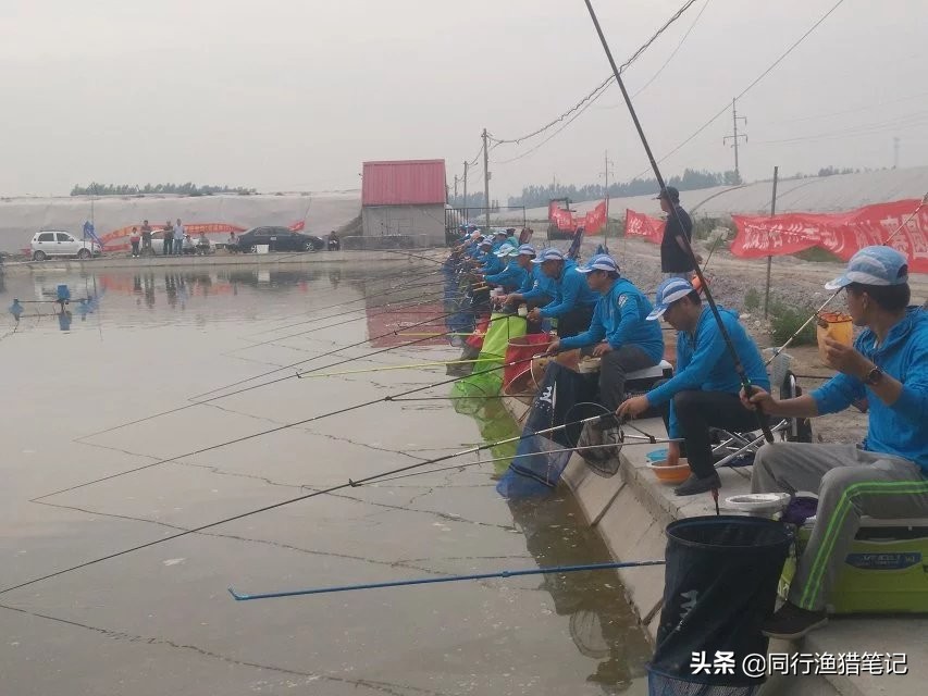 釣3至5斤的鯉魚用多大鉤 垂釣5斤鯉魚用幾號鉤合適