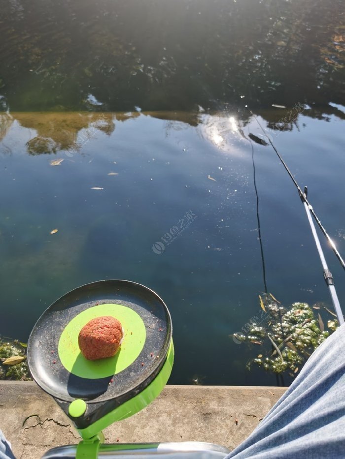 黑坑冬釣鯉魚的三大實用妙招 冬天釣鯉魚用什麼餌料最好