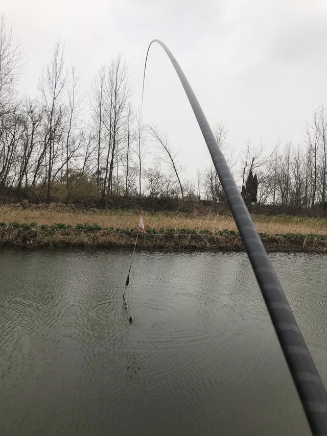 池塘釣魚什麼風向好釣 春季野釣哪種風向最好釣