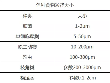 白鰱魚吃什麼飼料 白鰱魚喂什麼飼料長得快