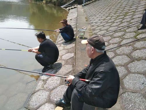 春天釣魚用多長的魚竿 野釣魚竿多長合適