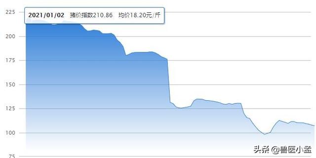 2023年豬肉價格行情走勢 豬肉價格為什麼一直在掉價