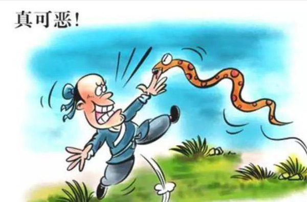 中國哪個省幾乎沒有蛇 中國哪個地方野生蛇最少