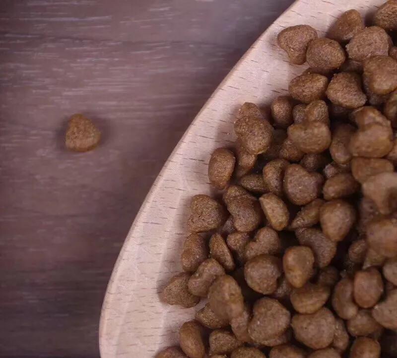 貓糧和狗糧的區別在哪裡 貓糧和狗糧可以混吃嗎