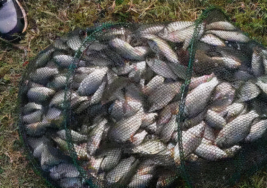 冬季釣魚釣深水還是釣淺水 冬天釣魚釣中間還是邊上 