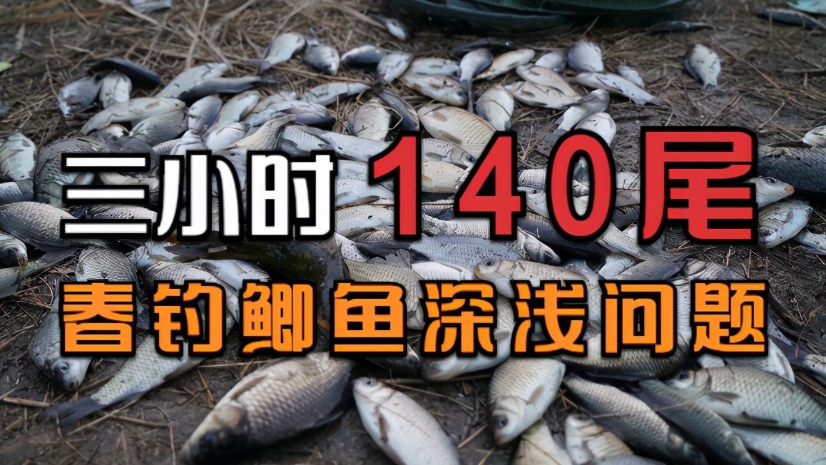 春天釣鯽魚釣深還是淺 春天風大釣鯽魚釣深好還是淺