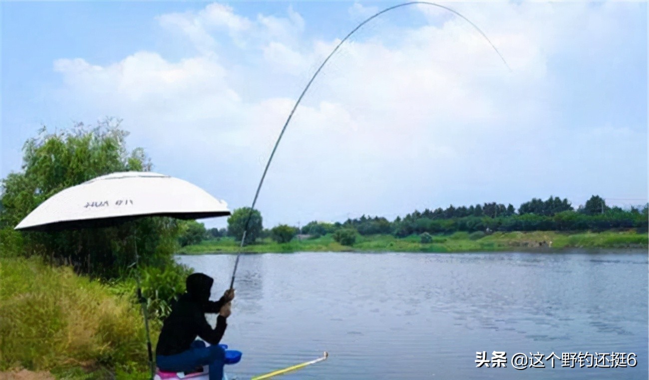 釣魚竿如何選擇 新手學釣魚買什麼樣的釣魚竿適合