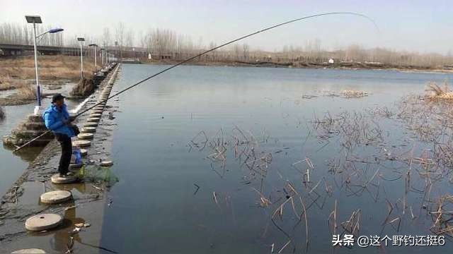 釣魚竿如何選擇 新手學釣魚買什麼樣的釣魚竿適合