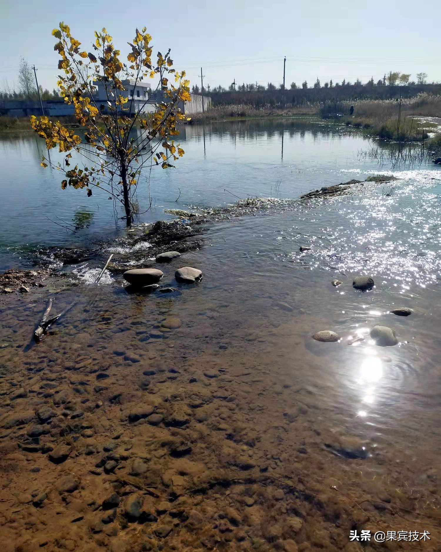 東北風釣深還是釣淺 天氣悶熱釣魚釣深還是釣淺