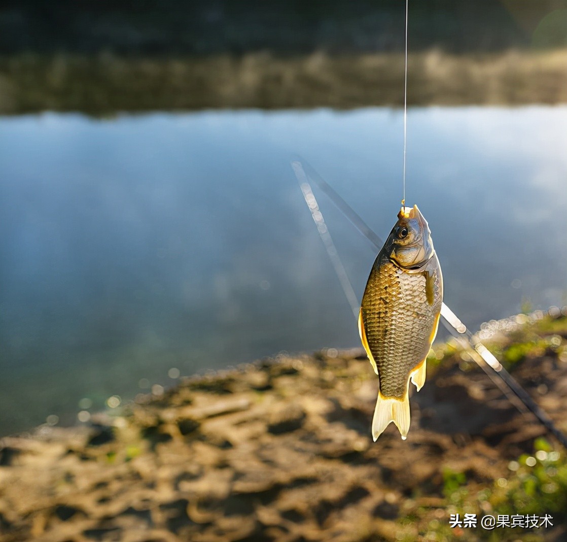 東北風釣深還是釣淺 天氣悶熱釣魚釣深還是釣淺