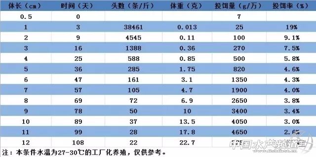 對蝦養殖技術方法 如何養蝦操作細節