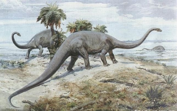 最大的食肉恐龍是什麼龍 白堊紀體型最大的食肉恐龍