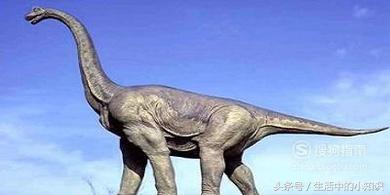 世界上食草恐龍有哪些種類 白堊紀晚期的食草性恐龍