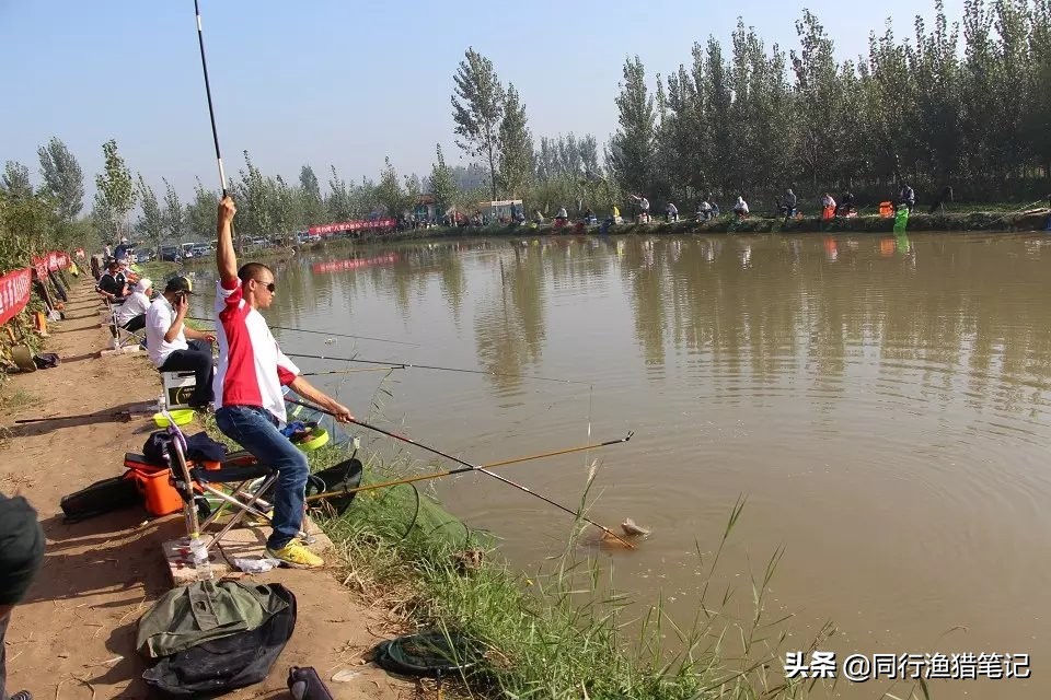 釣魚線大小型號怎麼選 正常釣魚一般用多粗的魚線比較好