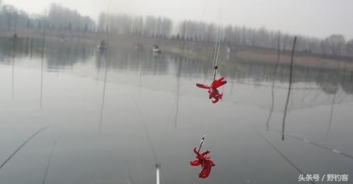 紅蟲魚餌怎麼掛鉤 紅蟲釣魚如何掛鉤