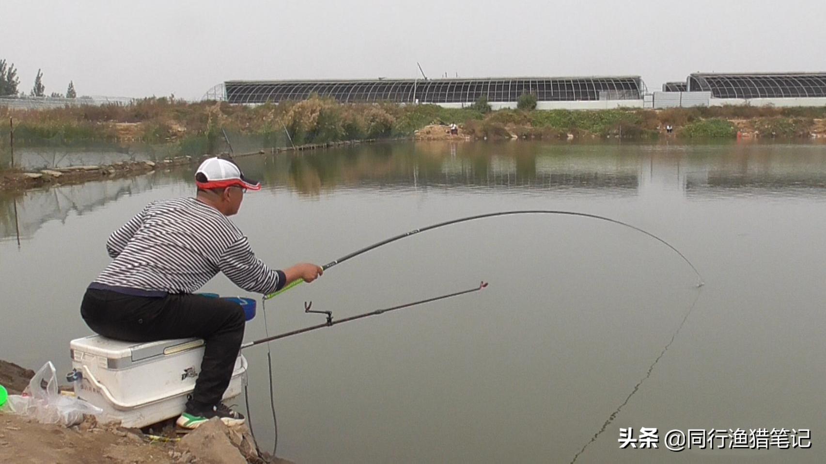 子線多長合適 冬季野釣鯽魚子線的長度留多長好