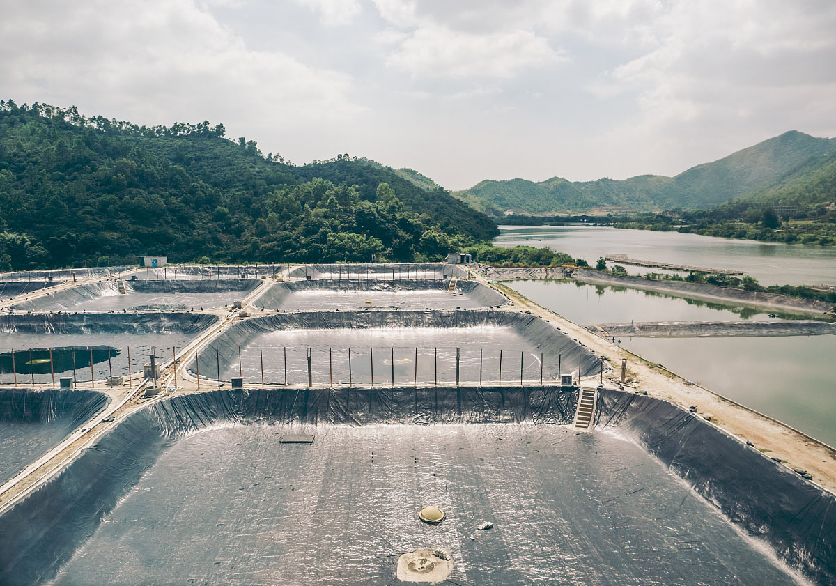 魚塘養殖防滲膜 魚塘用防滲膜施工方法與技巧