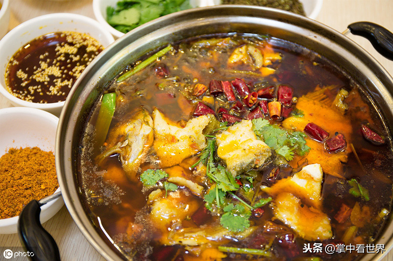 青魚和草魚的區別 青魚和草魚哪種魚好吃