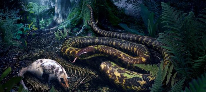 蛇的祖先是什麼 你知道蛇的祖先到底是誰嗎