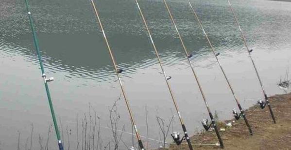 串鉤釣鯉魚用什麼餌好 野釣鯉魚串鉤怎麼使用最快最方便