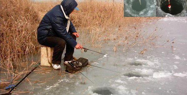 冬季釣鯽魚釣深水還是淺水 初冬野釣鯽魚多深水合適