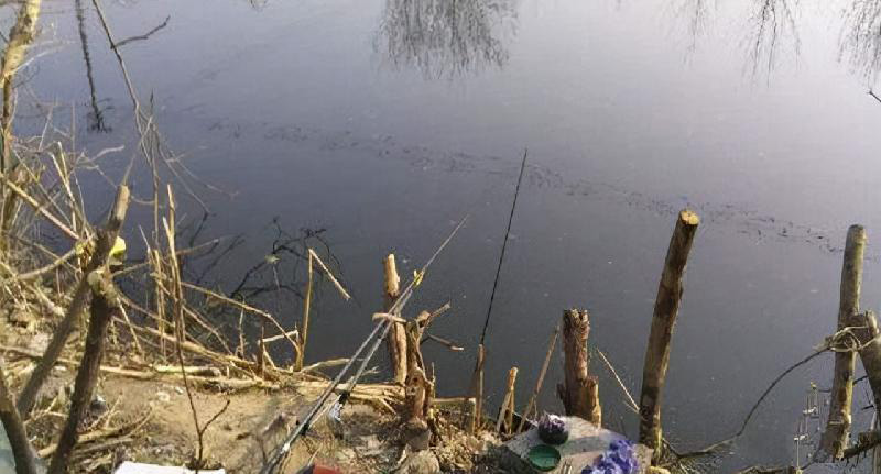 冬季釣鯽魚釣深水還是淺水 初冬野釣鯽魚多深水合適