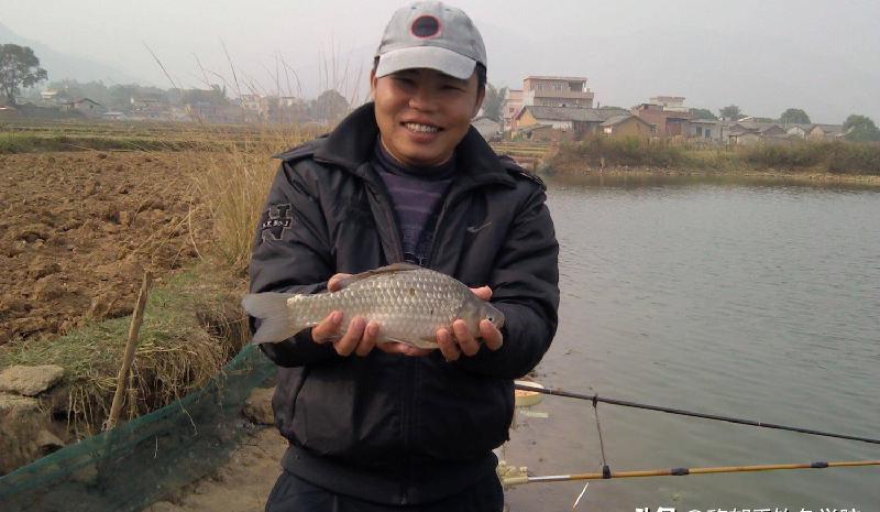 冬季釣鯽魚用什麼味型的小藥 冬季野釣鯽魚用什麼小藥