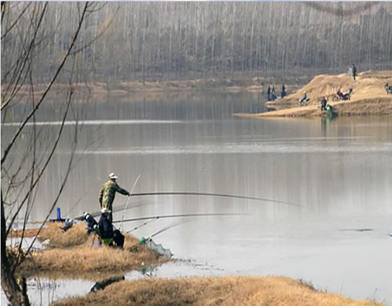 冬天釣鯽魚怎麼調浮漂 冬季野釣鯽魚調漂最佳方法
