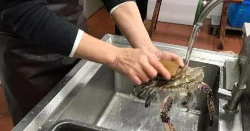 活螃蟹如何清洗處理 活螃蟹怎麼洗幹凈