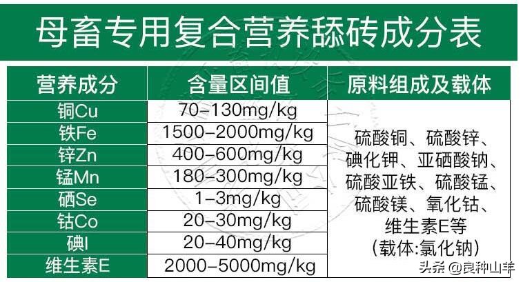 養羊喂鹽好還是舔磚好 羊舔鹽磚有什麼好處