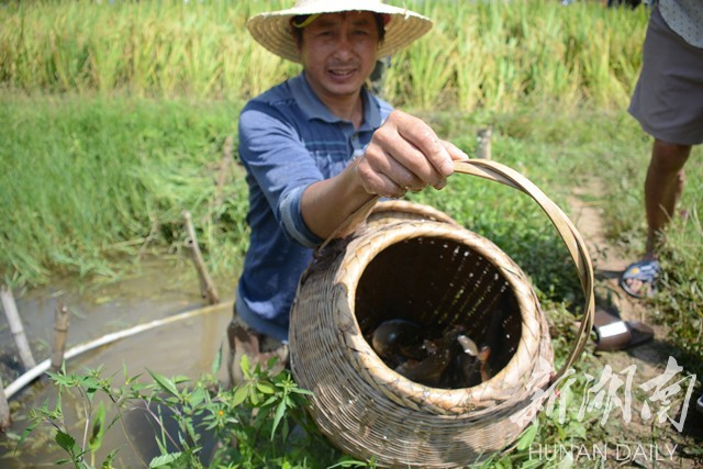 高山冷水適合養殖什麼魚 深山冷水魚養殖