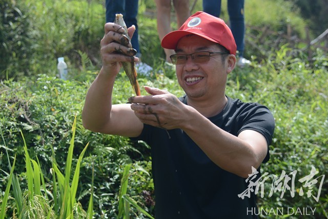 高山冷水適合養殖什麼魚 深山冷水魚養殖