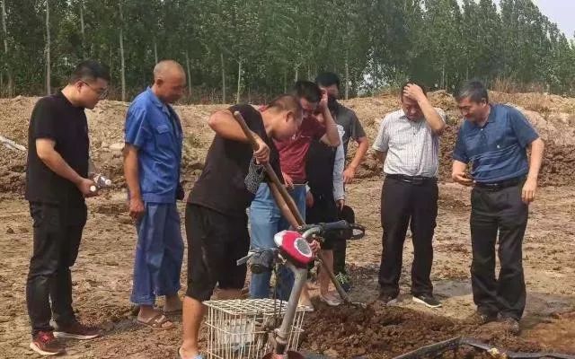 養殖蚯蚓一畝地投資多少 養蚯蚓一畝一般賺多少