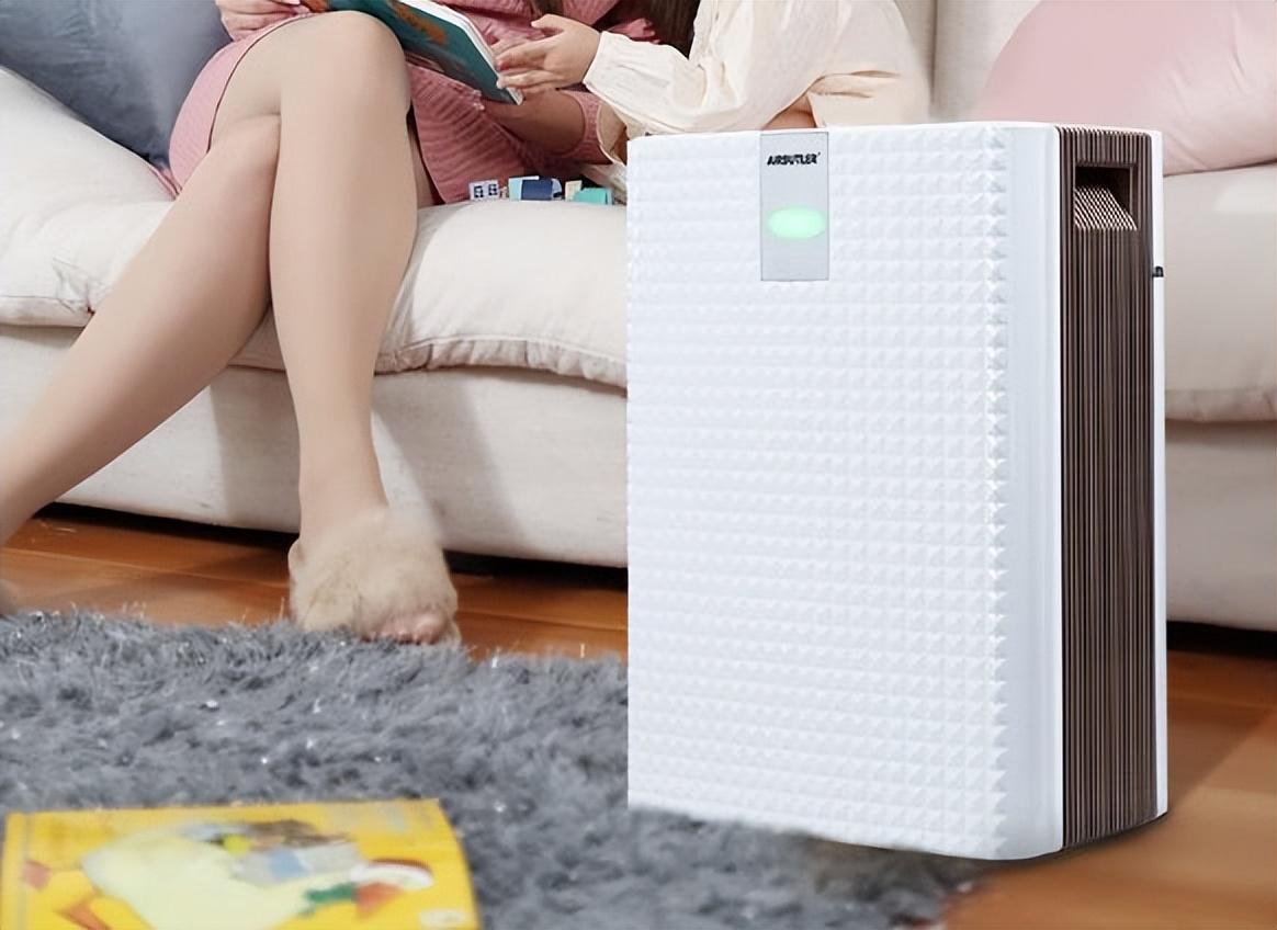 空氣凈化器排名前十的品牌 負離子空氣凈化器十大名牌