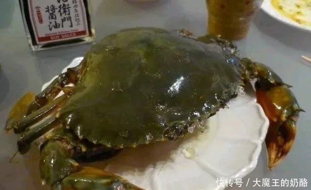 世界上最貴的螃蟹排名 中國最貴的螃蟹