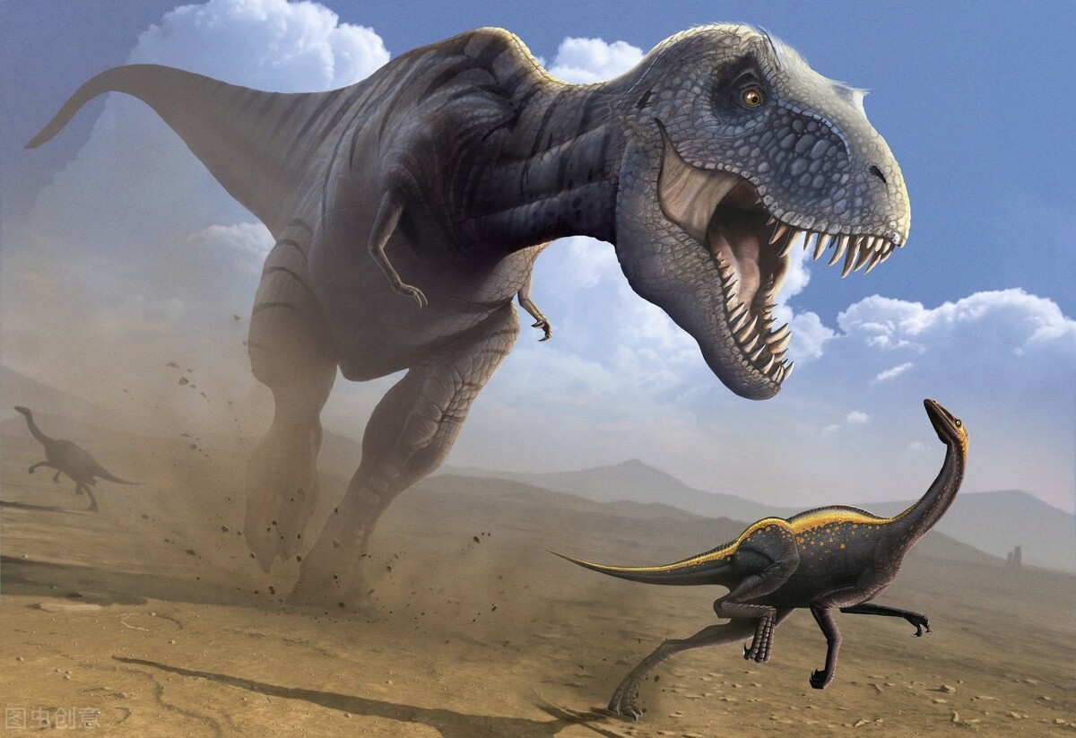恐龍時代存活至今的動物 遺留下來的動物