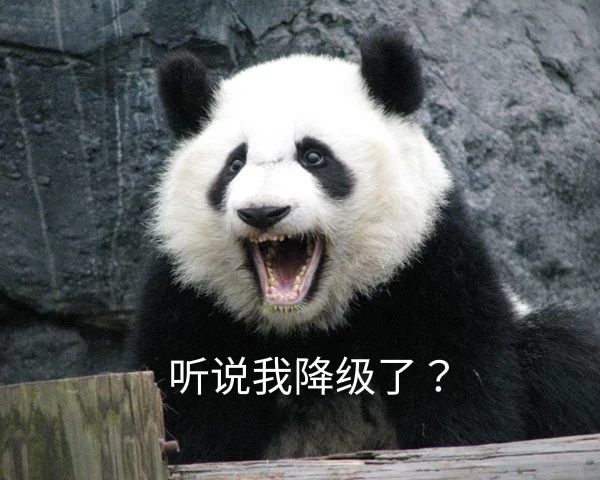 大熊貓現在是幾級保護動物 大熊貓保護動物等級